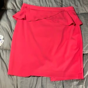 Express Pencil Skirt